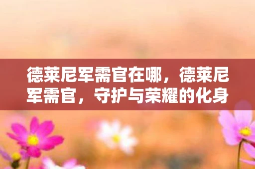 德莱尼军需官在哪，德莱尼军需官，守护与荣耀的化身