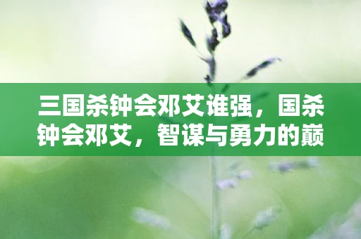 三国杀钟会邓艾谁强，国杀钟会邓艾，智谋与勇力的巅峰对决