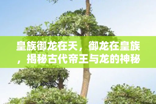 皇族御龙在天，御龙在皇族，揭秘古代帝王与龙的神秘联系