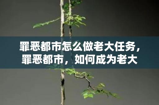 罪恶都市怎么做老大任务,罪恶都市,如何成为老大 罪恶都市怎么做老大任务,罪恶都市,如何成为老大