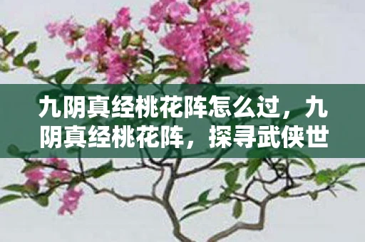 九阴真经桃花阵怎么过，九阴真经桃花阵，探寻武侠世界的神秘迷宫