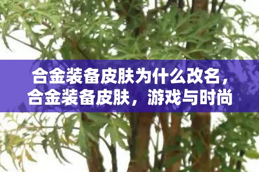 合金装备皮肤为什么改名,合金装备皮肤,游戏与时尚的跨界融合 合金装备皮肤为什么改名,合金装备皮肤,游戏与时尚的跨界融合
