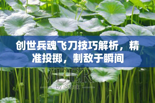 创世兵魂飞刀技巧解析图片