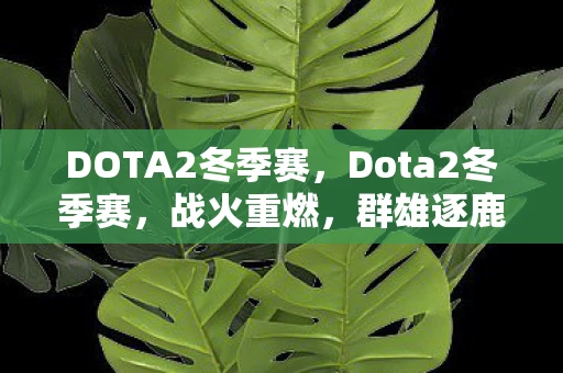 DOTA2冬季赛，Dota2冬季赛，战火重燃，群雄逐鹿