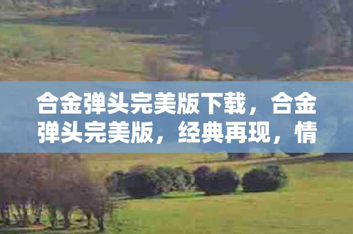 合金弹头完美版下载,合金弹头完美版,经典再现,情怀依旧 合金弹头完美版下载,合金弹头完美版,经典再现,情怀依旧