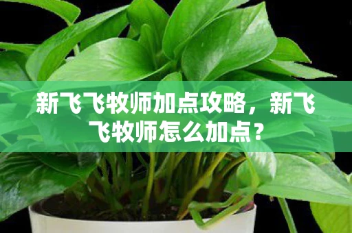 新飞飞牧师加点攻略,新飞飞牧师怎么加点? 新飞飞牧师加点攻略,新飞飞牧师怎么加点?