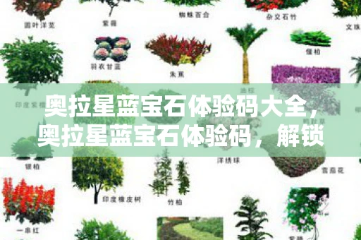 奥拉星蓝宝石体验码大全，奥拉星蓝宝石体验码，解锁无限可能的神秘钥匙