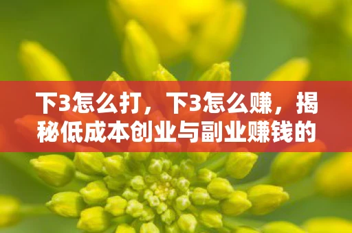 下3怎么打,下3怎么赚,揭秘低成本创业与副业赚钱的秘密 下3怎么打,下3怎么赚,揭秘低成本创业与副业赚钱的秘密
