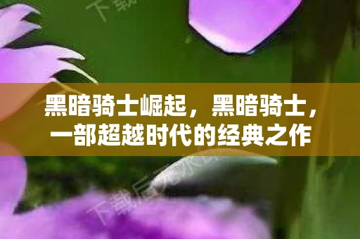 黑暗骑士崛起，黑暗骑士，一部超越时代的经典之作