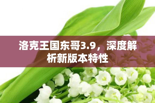 深度解析新版本特性图片