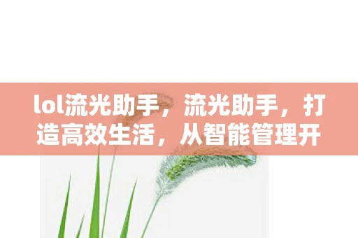 lol流光助手，流光助手，打造高效生活，从智能管理开始