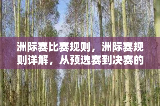 洲际赛比赛规则，洲际赛规则详解，从预选赛到决赛的全程解析