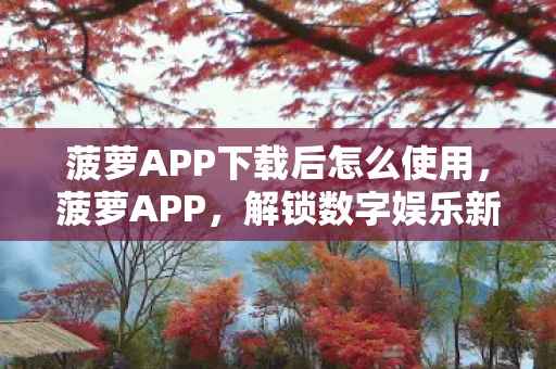 菠萝APP下载后怎么使用，菠萝APP，解锁数字娱乐新体验