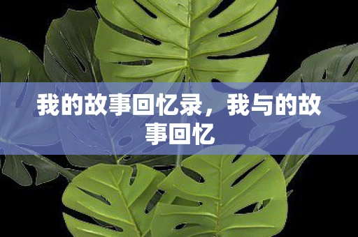 我的故事回忆录，我与的故事回忆