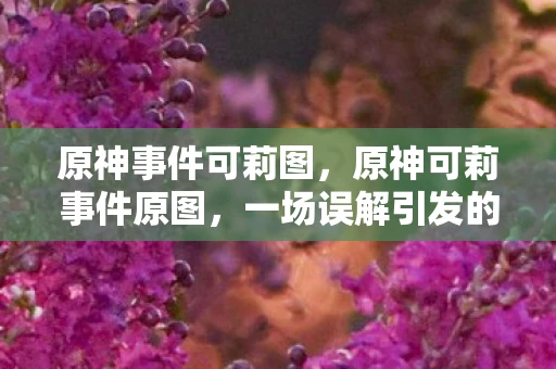 原神事件可莉图，原神可莉事件原图，一场误解引发的风波