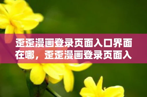 歪歪漫画登录页面入口界面在哪，歪歪漫画登录页面入口界面，解锁漫画世界的钥匙