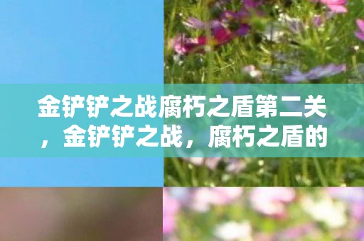 金铲铲之战腐朽之盾第二关，金铲铲之战，腐朽之盾的终极挑战