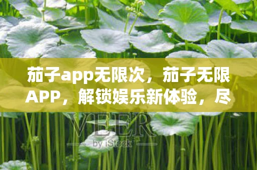 茄子app无限次,茄子无限APP,解锁娱乐新体验,尽享无限可能 茄子app无限次,茄子无限APP,解锁娱乐新体验,尽享无限可能