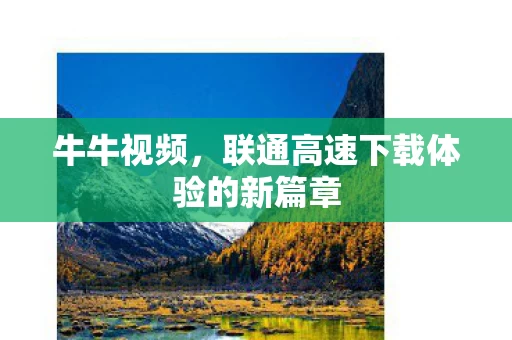 联通高速下载体验的新篇章图片