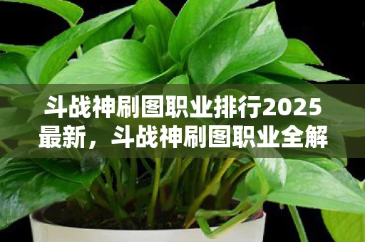 斗战神刷图职业排行2025最新，斗战神刷图职业全解析，哪个职业最适合你？