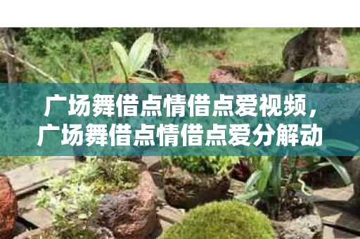 广场舞借点情借点爱视频，广场舞借点情借点爱分解动作教学