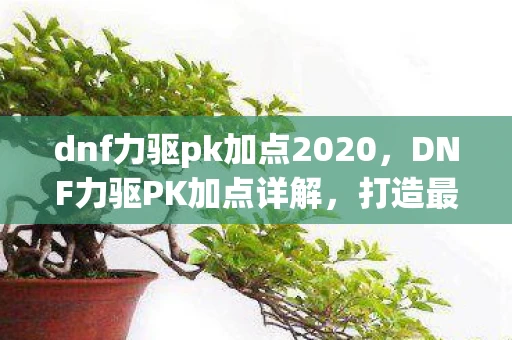 dnf力驱pk加点2020，DNF力驱PK加点详解，打造最强战斗法师