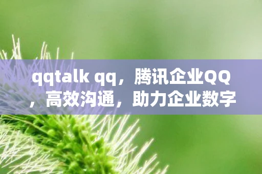 qqtalk qq，腾讯企业QQ，高效沟通，助力企业数字化转型