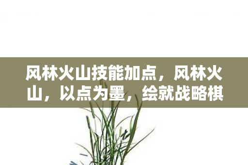 风林火山技能加点,风林火山,以点为墨,绘就战略棋局 风林火山技能加点,风林火山,以点为墨,绘就战略棋局