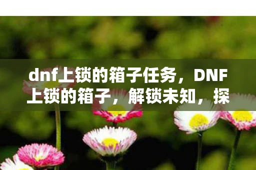 dnf上锁的箱子任务,DNF上锁的箱子,解锁未知,探索神秘 dnf上锁的箱子任务,DNF上锁的箱子,解锁未知,探索神秘