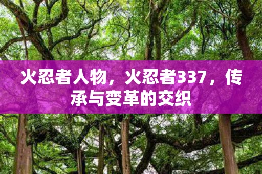 火忍者人物,火忍者337,传承与变革的交织 火忍者人物,火忍者337,传承与变革的交织