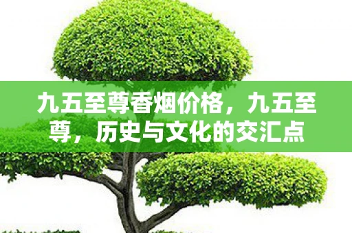 九五至尊香烟价格,九五至尊,历史与文化的交汇点 九五至尊香烟价格,九五至尊,历史与文化的交汇点