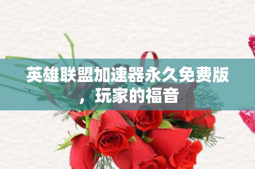 英雄联盟加速器永久免费版图片