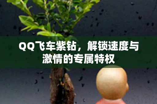 QQ飞车紫钻,解锁速度与激情的专属特权 QQ飞车紫钻,解锁速度与激情的专属特权