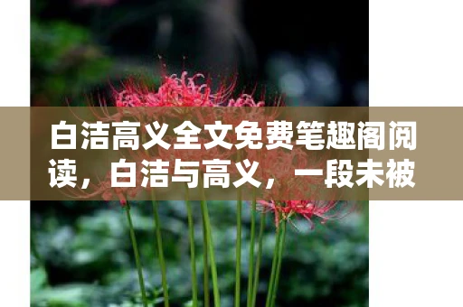 白洁高义全文免费笔趣阁阅读,白洁与高义,一段未被世人所知的传奇故事 白洁高义全文免费笔趣阁阅读,白洁与高义,一段未被世人所知的传奇故事