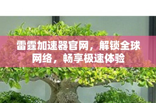 雷霆加速器官网,解锁全球网络,畅享极速体验 雷霆加速器官网,解锁全球网络,畅享极速体验