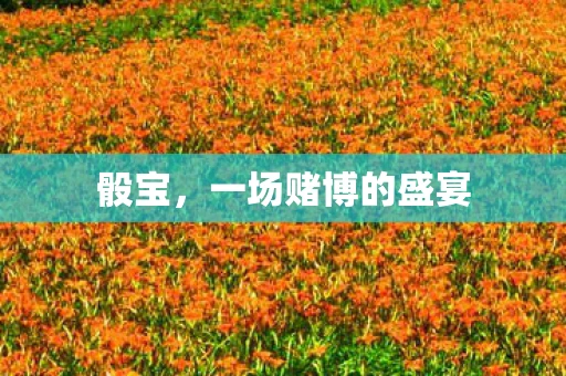 骰宝，一场赌博的盛宴