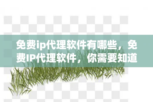 免费ip代理软件有哪些，免费IP代理软件，你需要知道的真相