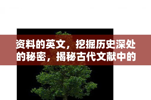 资料的英文,挖掘历史深处的秘密,揭秘古代文献中的珍贵资料 资料的英文,挖掘历史深处的秘密,揭秘古代文献中的珍贵资料