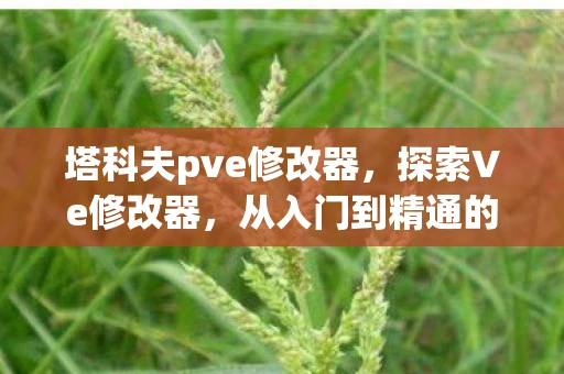 塔科夫pve修改器，探索Ve修改器，从入门到精通的全方位指南