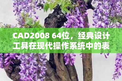 CAD2008 64位，经典设计工具在现代操作系统中的表现