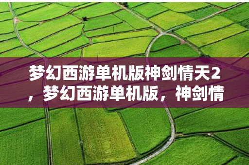 梦幻西游单机版神剑情天2，梦幻西游单机版，神剑情3的奇幻之旅