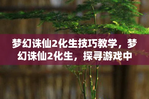 梦幻诛仙2化生技巧教学，梦幻诛仙2化生，探寻游戏中的神秘世界