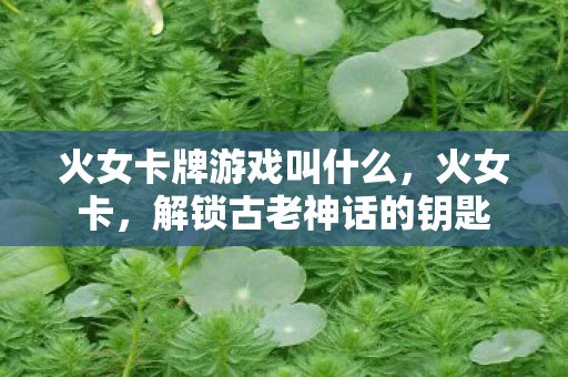 火女卡牌游戏叫什么,火女卡,解锁古老神话的钥匙 火女卡牌游戏叫什么,火女卡,解锁古老神话的钥匙