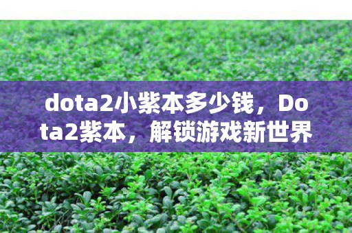 dota2小紫本多少钱，Dota2紫本，解锁游戏新世界的钥匙
