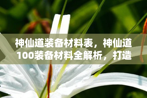 神仙道装备材料表，神仙道100装备材料全解析，打造顶级装备，提升战力无极限！