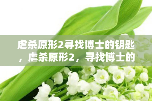 虐杀原形2寻找博士的钥匙，虐杀原形2，寻找博士的冒险之旅