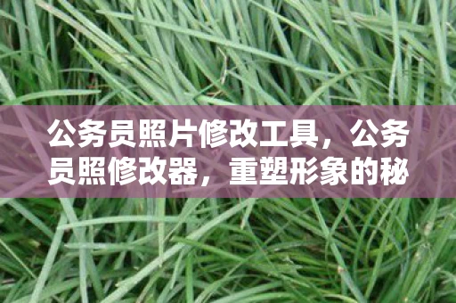 公务员照片修改工具,公务员照修改器,重塑形象的秘密武器? 公务员照片修改工具,公务员照修改器,重塑形象的秘密武器?
