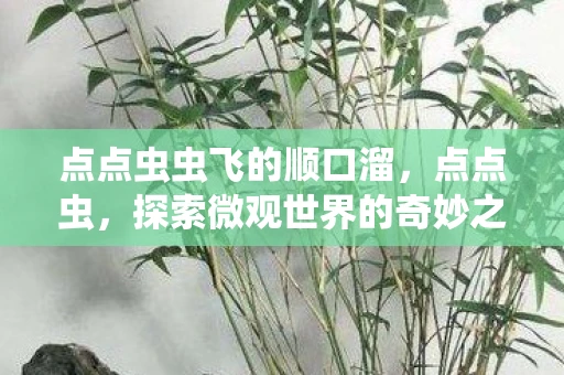 点点虫虫飞的顺口溜,点点虫,探索微观世界的奇妙之旅 点点虫虫飞的顺口溜,点点虫,探索微观世界的奇妙之旅