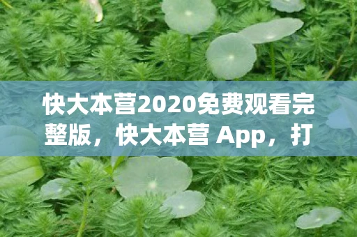 快大本营2020免费观看完整版，快大本营 App，打造娱乐新生态，引领潮流新风尚