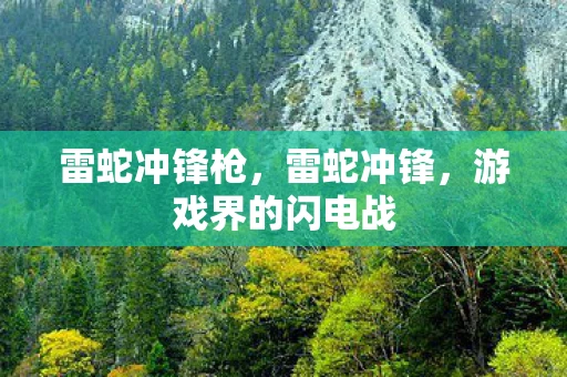 雷蛇冲锋枪，雷蛇冲锋，游戏界的闪电战